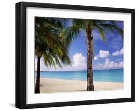 Palm Trees, Beach and Still Turquoise Sea, Seven Mile Beach, Cayman Islands, West Indies-Ruth Tomlinson-Framed Premium Photographic Print