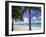Palm Trees, Beach and Still Turquoise Sea, Seven Mile Beach, Cayman Islands, West Indies-Ruth Tomlinson-Framed Premium Photographic Print