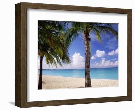 Palm Trees, Beach and Still Turquoise Sea, Seven Mile Beach, Cayman Islands, West Indies-Ruth Tomlinson-Framed Photographic Print