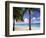 Palm Trees, Beach and Still Turquoise Sea, Seven Mile Beach, Cayman Islands, West Indies-Ruth Tomlinson-Framed Photographic Print