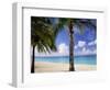 Palm Trees, Beach and Still Turquoise Sea, Seven Mile Beach, Cayman Islands, West Indies-Ruth Tomlinson-Framed Photographic Print