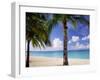 Palm Trees, Beach and Still Turquoise Sea, Seven Mile Beach, Cayman Islands, West Indies-Ruth Tomlinson-Framed Photographic Print