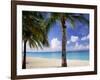 Palm Trees, Beach and Still Turquoise Sea, Seven Mile Beach, Cayman Islands, West Indies-Ruth Tomlinson-Framed Photographic Print