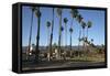 Palm Trees Behind Beach-Stuart-Framed Stretched Canvas