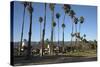 Palm Trees Behind Beach-Stuart-Stretched Canvas