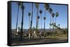 Palm Trees Behind Beach-Stuart-Framed Stretched Canvas