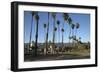 Palm Trees Behind Beach-Stuart-Framed Photographic Print