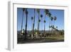 Palm Trees Behind Beach-Stuart-Framed Photographic Print