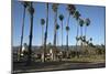 Palm Trees Behind Beach-Stuart-Mounted Photographic Print