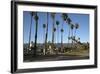 Palm Trees Behind Beach-Stuart-Framed Photographic Print