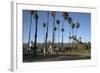 Palm Trees Behind Beach-Stuart-Framed Photographic Print