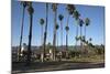 Palm Trees Behind Beach-Stuart-Mounted Photographic Print