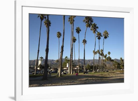 Palm Trees Behind Beach-Stuart-Framed Photographic Print