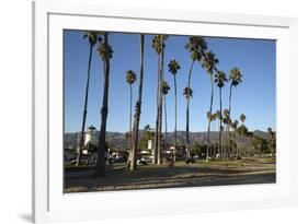 Palm Trees Behind Beach-Stuart-Framed Photographic Print