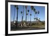 Palm Trees Behind Beach-Stuart-Framed Photographic Print