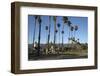 Palm Trees Behind Beach-Stuart-Framed Photographic Print