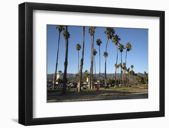 Palm Trees Behind Beach-Stuart-Framed Photographic Print