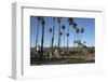 Palm Trees Behind Beach-Stuart-Framed Photographic Print