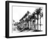 Palm Trees Beside the Nile, Egypt, 1895-Zangaki-Framed Giclee Print