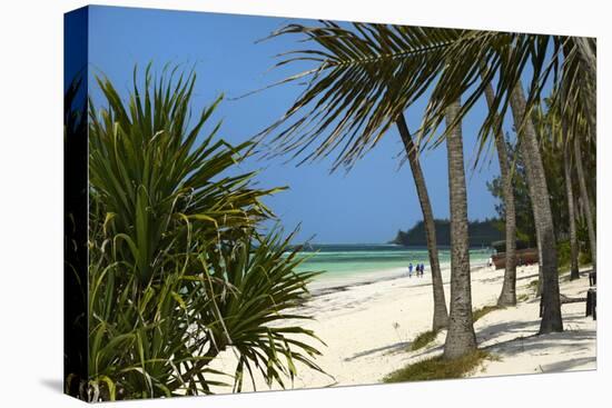 Palm Trees, Bwejuu Beach, Zanzibar, Tanzania, Indian Ocean, East Africa, Africa-Peter Richardson-Stretched Canvas