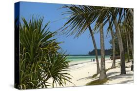 Palm Trees, Bwejuu Beach, Zanzibar, Tanzania, Indian Ocean, East Africa, Africa-Peter Richardson-Stretched Canvas