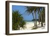 Palm Trees, Bwejuu Beach, Zanzibar, Tanzania, Indian Ocean, East Africa, Africa-Peter Richardson-Framed Photographic Print