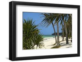 Palm Trees, Bwejuu Beach, Zanzibar, Tanzania, Indian Ocean, East Africa, Africa-Peter Richardson-Framed Photographic Print