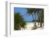 Palm Trees, Bwejuu Beach, Zanzibar, Tanzania, Indian Ocean, East Africa, Africa-Peter Richardson-Framed Photographic Print