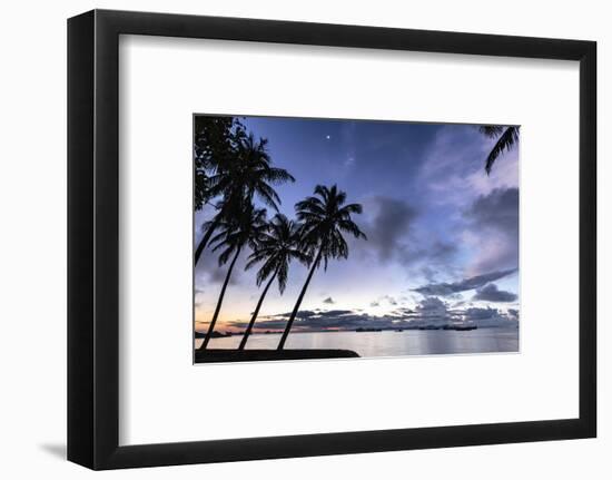 Palm trees by Sittwe harbour before sunrise, Myanmar-Brian Graney-Framed Photographic Print