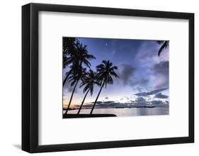 Palm trees by Sittwe harbour before sunrise, Myanmar-Brian Graney-Framed Photographic Print