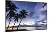 Palm trees by Sittwe harbour before sunrise, Myanmar-Brian Graney-Mounted Photographic Print