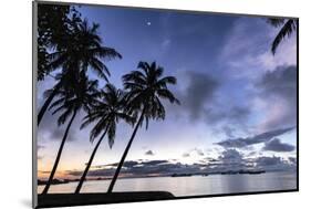 Palm trees by Sittwe harbour before sunrise, Myanmar-Brian Graney-Mounted Photographic Print