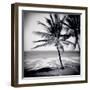 Palm Trees by the Beach at Bweju, Zanzibar, Tanzania, East Africa-Lee Frost-Framed Photographic Print