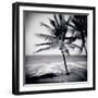 Palm Trees by the Beach at Bweju, Zanzibar, Tanzania, East Africa-Lee Frost-Framed Photographic Print