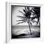 Palm Trees by the Beach at Bweju, Zanzibar, Tanzania, East Africa-Lee Frost-Framed Photographic Print