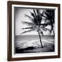 Palm Trees by the Beach at Bweju, Zanzibar, Tanzania, East Africa-Lee Frost-Framed Photographic Print