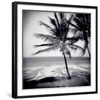 Palm Trees by the Beach at Bweju, Zanzibar, Tanzania, East Africa-Lee Frost-Framed Photographic Print