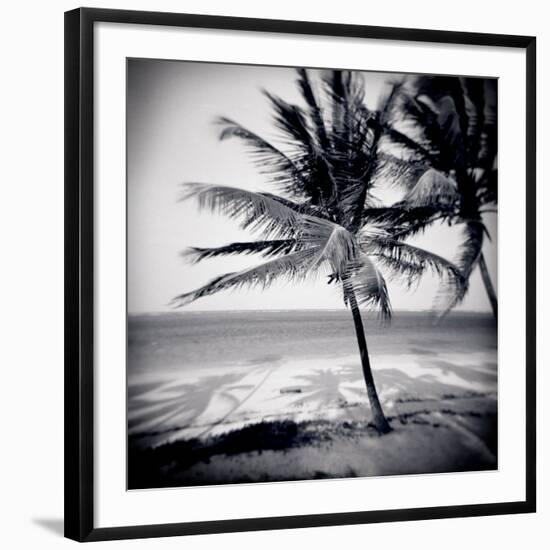 Palm Trees by the Beach at Bweju, Zanzibar, Tanzania, East Africa-Lee Frost-Framed Photographic Print