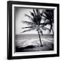 Palm Trees by the Beach at Bweju, Zanzibar, Tanzania, East Africa-Lee Frost-Framed Photographic Print