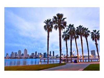 https://imgc.allpostersimages.com/img/posters/palm-trees-city-san-diego-sign_u-L-F7PK8Q0.jpg?artPerspective=n
