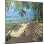 Palm Trees, Clovelly Beach, Barbados, 2013-Andrew Macara-Mounted Giclee Print