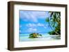 Palm trees edging, Scout Park Beach, Cocos (Keeling) Islands, Indian Ocean, Asia-Lynn Gail-Framed Photographic Print