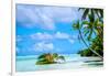 Palm trees edging, Scout Park Beach, Cocos (Keeling) Islands, Indian Ocean, Asia-Lynn Gail-Framed Photographic Print