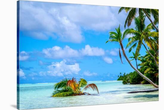 Palm trees edging, Scout Park Beach, Cocos (Keeling) Islands, Indian Ocean, Asia-Lynn Gail-Stretched Canvas