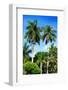 Palm Trees - Everglades National Park - Unesco World Heritage Site - Florida - USA-Philippe Hugonnard-Framed Photographic Print