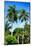Palm Trees - Everglades National Park - Unesco World Heritage Site - Florida - USA-Philippe Hugonnard-Mounted Photographic Print