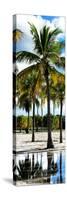 Palm Trees - Florida-Philippe Hugonnard-Stretched Canvas