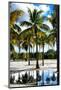 Palm Trees - Florida-Philippe Hugonnard-Mounted Photographic Print