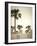 Palm Trees, Fuerteventura, Canary Islands, Spain-Jon Arnold-Framed Photographic Print