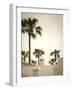 Palm Trees, Fuerteventura, Canary Islands, Spain-Jon Arnold-Framed Photographic Print